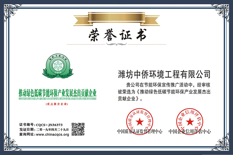 低碳节能环保产业发展杰出证书